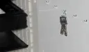 Screenshot 2026-05-04 111600.webp