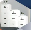 Rainer B Series
