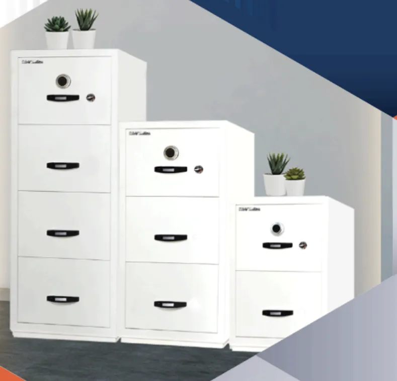 Rainer B Series